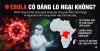EBOLA CÓ ĐÁNG LO NGẠI KHÔNG?