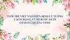 Tuổi trẻ Việt Nam kiên định lý tưởng cách mạng, vững bước dưới cờ Đảng quang vinh!