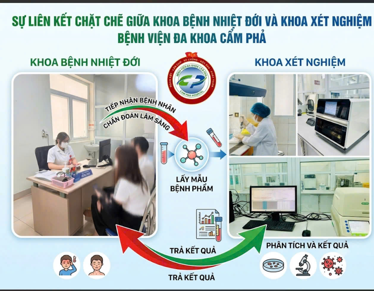 SỰ PHỐI HỢP NHỊP NHÀNG GIỮA  KHOA BỆNH NHIỆT ĐỚI VÀ KHOA XÉT NGHIỆM TRONG QUẢN LÝ VIÊM GAN B TẠI BỆNH VIỆN ĐA KHOA CẨM PHẢ